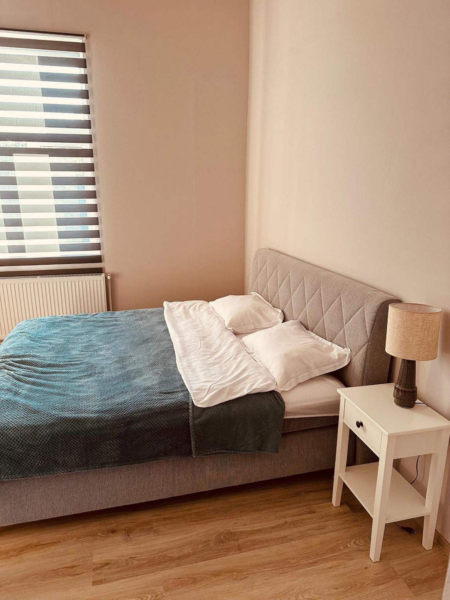 Serbian House Bed & Breakfast ทิมิชัวรา ภายนอก รูปภาพ