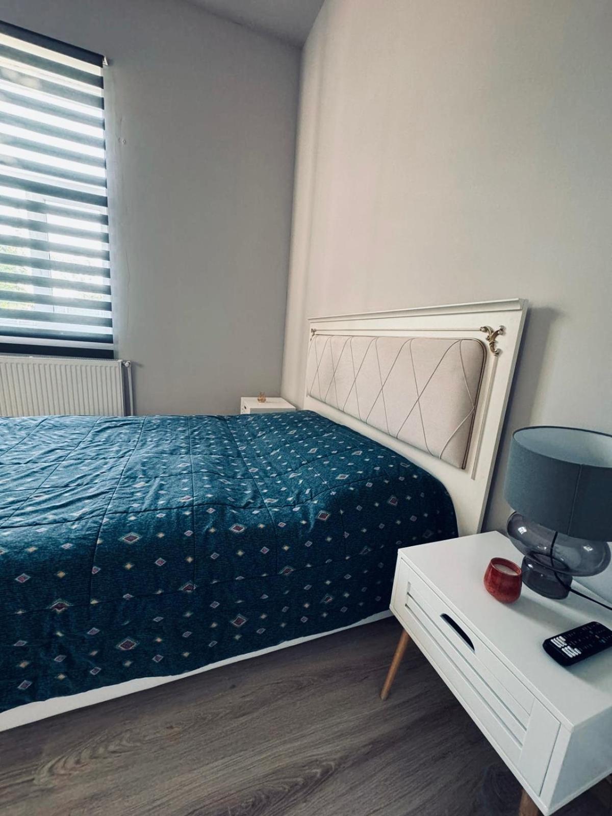 Serbian House Bed & Breakfast ทิมิชัวรา ภายนอก รูปภาพ
