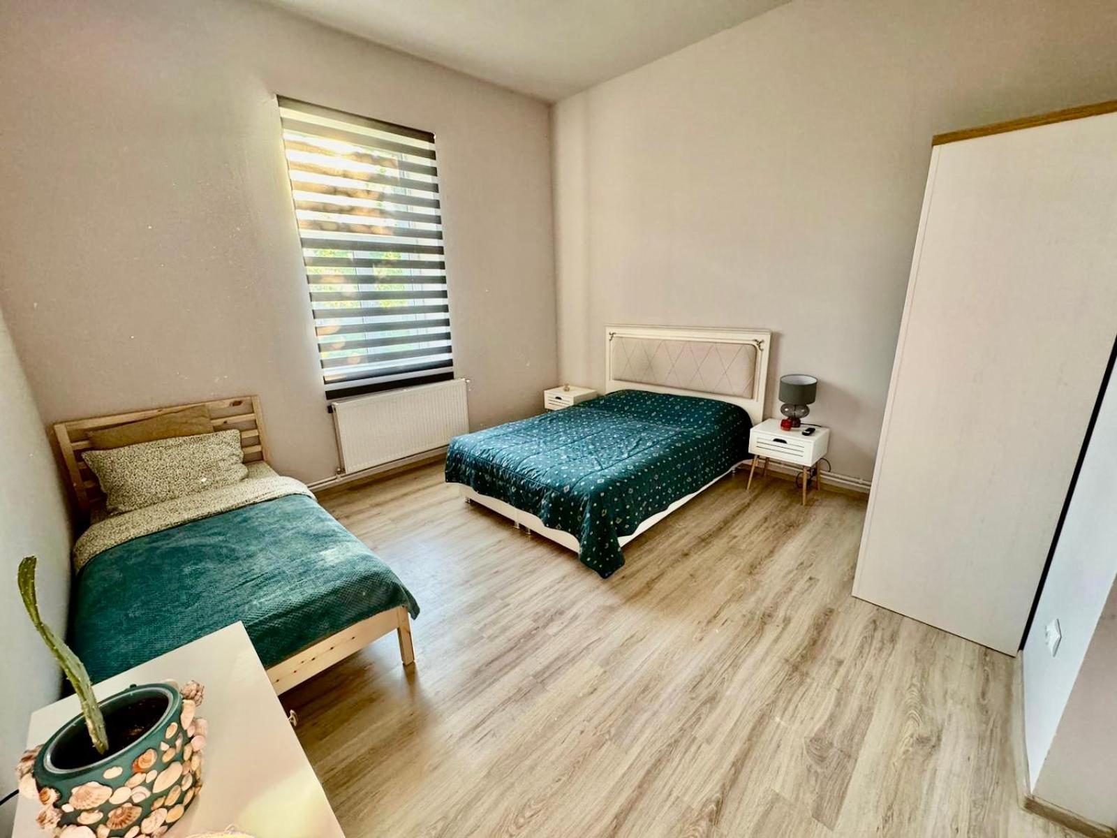 Serbian House Bed & Breakfast ทิมิชัวรา ภายนอก รูปภาพ
