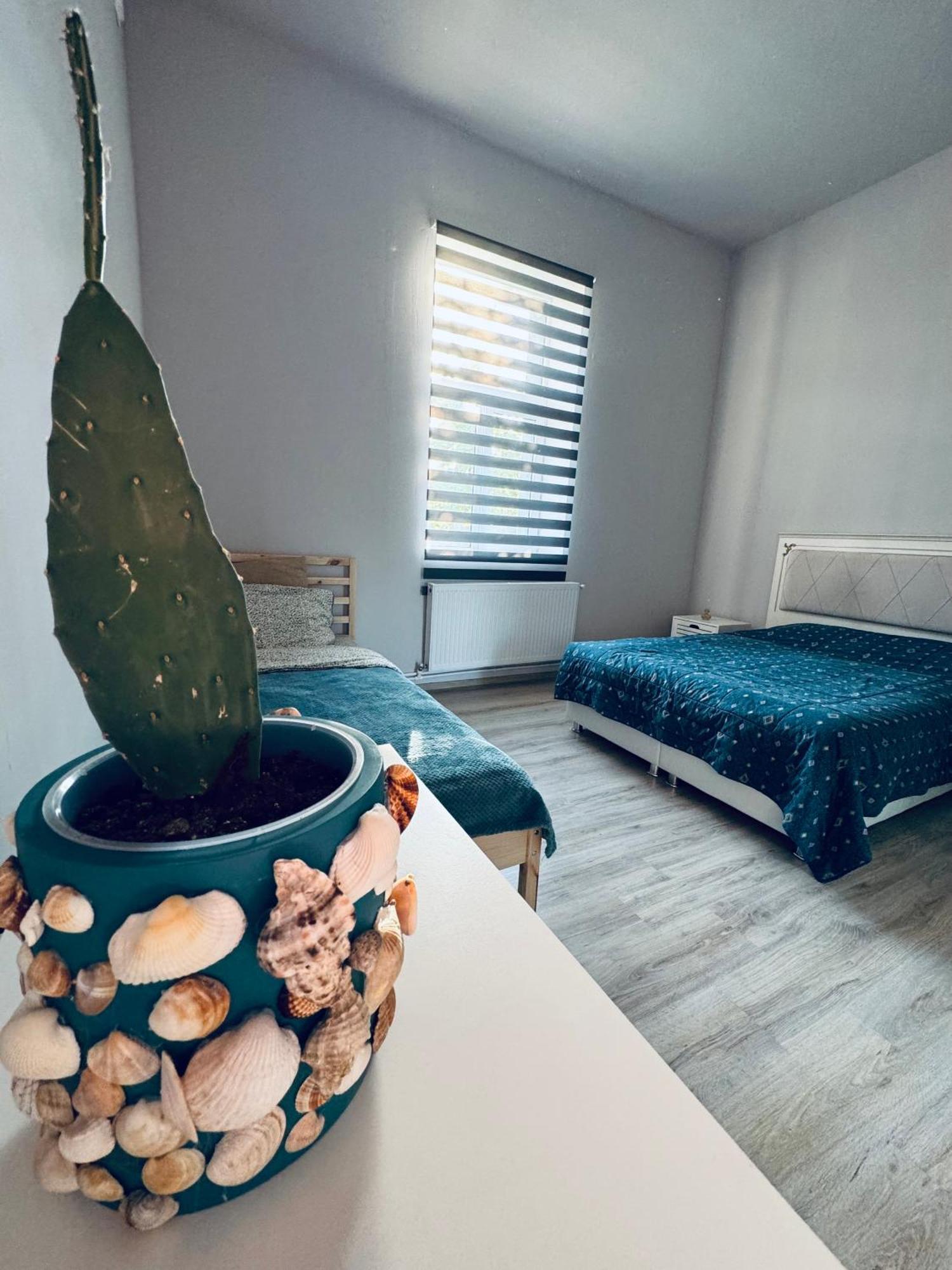 Serbian House Bed & Breakfast ทิมิชัวรา ภายนอก รูปภาพ