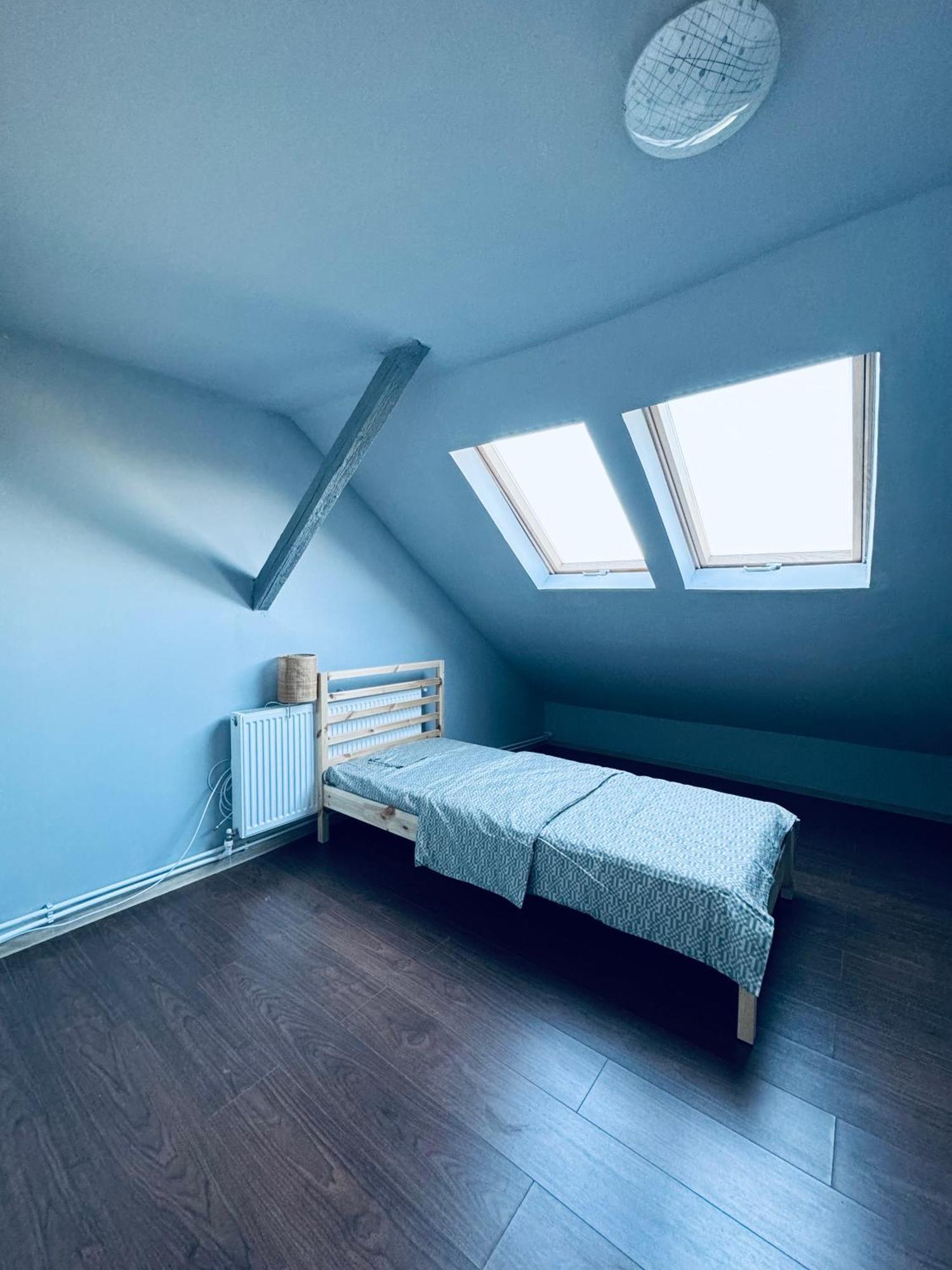 Serbian House Bed & Breakfast ทิมิชัวรา ภายนอก รูปภาพ
